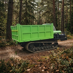 Camión Volquete de Orugas de 8 Toneladas de Alta Resistencia, el Más Vendido, con Transporte sobre Orugas, Certificado CE y EPA para Construcción y Silvicultura - Product Image 5