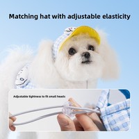 Conjunto de Arnés y Correa para Perro de Malla Suave de Lujo Personalizado al por Mayor con Estampado Animal, No Retráctil, para Cachorros Pequeños/Medianos con Gorro