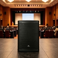 Promo Panas Subwoofer Aktif Custom Pro PA 18 Inch 1100W RMS Bi AMP DSP Kabinet Kayu untuk Panggung Luar Ruangan, Kompetisi Olahraga, dan Acara