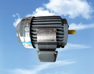 Teco ac motor 10HP 12HP 15HP 25HP 25HP 30HP 40HP üç fazlı elektrik motorları