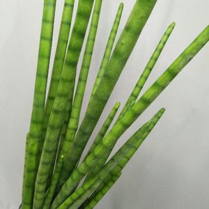 E-3120 fabbrica di grandi vasi pianta per la vendita all'aperto pianta artificiale serpente erba <span class=keywords><strong>Bonsai</strong></span> per la casa - Product Image 5