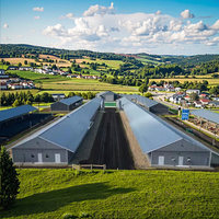 Structure en acier durable pour l'élevage de volailles, bâtiment polyvalent pour poulaillers/abris à poulets pour fermes