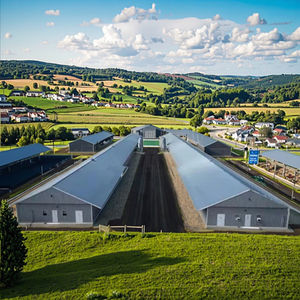 Struttura in acciaio resistente per l'allevamento di pollame Versatile pollaio/capannone per polli edificio per fattorie - Product Image 1