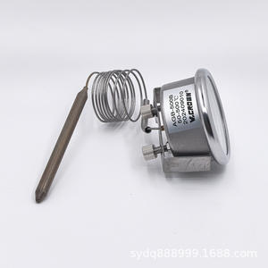 Termómetro Capilar de Acero Inoxidable Resistente a Altas Temperaturas 500C/600C para Horno de Pizza, Herramientas para Pizza - Product Image 3