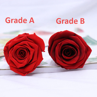 Tête de rose éternelle décorative naturelle de grade 4-5cm 8 pièces/boîte conservée