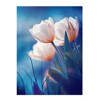  Huacan AB Diamond Painting Kits for Adults Color Tulip