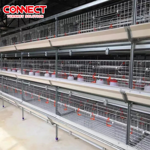 Sistema automatico di gabbia per pollaio di alta qualità - Product Image 3