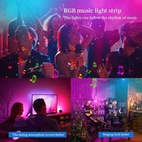 Tira de Luz LED COB RGB de 10 mm de Ancho, DC12V/24V, 810 LED/m, IP20, Cobre, Control Remoto, 5 m/rollo