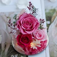 Lovebay Valentijnsdag cadeau Eeuwige Rozen in Hoekglas met Licht Stabiliseerde Bloemen Echte Ge conserveerde Rozen in Glas voor Moeder