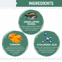 Permen Kunyah Lembut untuk Sendi Pinggul Anjing Senior Glukosamin MSM Kondroitin Omega 3 Omega 6 Vitamin C E Yucca Dukungan Mobilitas dan Tulang Rawan OEM