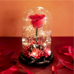 Rosas Eternas al por Mayor, Rosa Preservada de 7cm con Luz LED, Domo de Cristal, Regalo Ecológico para el Día de la Madre - Product Image 6