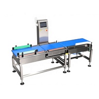 Máquina de Pesaje Automática de Alta Precisión, Detector de Metales para Línea de Empaquetado de Alimentos, Sistema de Cinta Transportadora de 1 kg, Multivoltaje