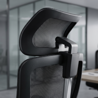 Chaise de bureau exécutive ergonomique moderne avec accoudoirs réglables 2D, support lombaire réglable en hauteur, dossier en maille, base pivotante 3 positions