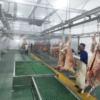 Ligne d'abattage de chèvres d'abattoir de moutons halal complète équipement de boucherie d'abattoir de religion islamique