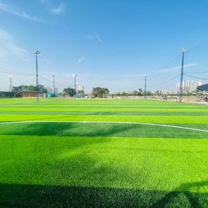 Gazon artificiel AVG Revêtement de sol sportif Gazon <span class=keywords><strong>synthétique</strong></span> Terrains de football Terrain de sport Gazon <span class=keywords><strong>synthétique</strong></span> - Product Image 4