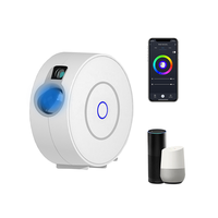 Tuya WiFi Smart haute définition étoilé S-ky projecteur LED coloré maison atmosphère lumière enfant cadeau commande vocale Via Google Alexa