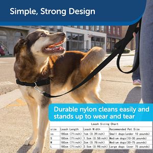 Kingtale Laisse de dressage pour chien en nylon, solide, tressée et antidérapante, accessoire personnalisé, vente en gros en usine - Product Image 2