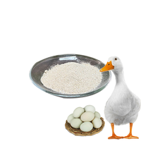 Prémélange d'aliments pour volailles de haute qualité en provenance de Chine Fournisseur de canards et de poulets avec vitamines et enzymes