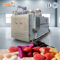 CE-gecertificeerde JIAXIN industriële voedselvriesdroger, multifunctionele vriesdroogmachine, hoge capaciteit, apparatuur voor groenten en fruit