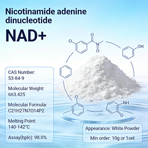 จัดหา NAD คุณภาพดีที่สุด 98% ราคาสุดคุ้ม NMN NAD NR <span class=keywords><strong>NADH</strong></span> คอลลาเจนเปปไทด์ 100 มก. 500 มก. 1000 มก. บรรจุภัณฑ์ NAD+ - Product Image 3