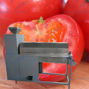Fabriek Leveren Peperzaden Verwijderen Machine Gerijpte Tomaten Watermeloen Zaadverwijderaar