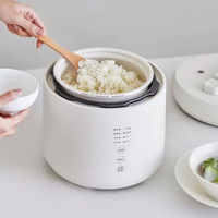 Vente flash : Mini-cuiseurs à pression de 2,5 L, cuiseurs à pression électriques pour la maison, cuiseurs à riz multifonctionnels à haute pression