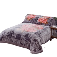 Luxus kunden spezifische Farbe Großhandel billige Queen-Size-Decke Raschel Bettdecke