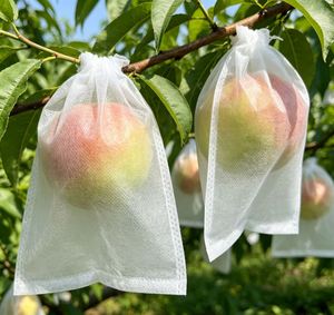 Tela No Tejida de Polipropileno (PP) Ligera, Resistente a Desgarros e Insectos, para Uso Agrícola, Bolsas para Cubrir Frutas, Suministro de Fábrica - Product Image 1