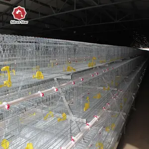 gevogelte supply kip kooien Suppliers-Factory Supply Batterij Ei Laag Kip Kooien Gevogelte Apparatuur Laag Hens Kooien