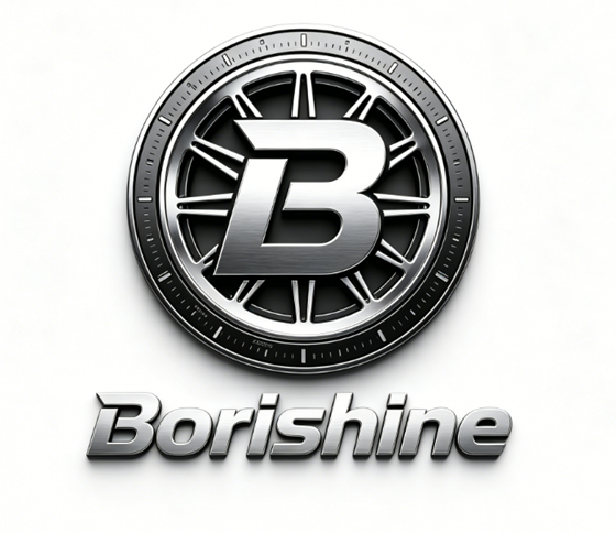 Borishine (Beijing) Technology Co., Ltd. logo