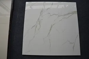 Spanish 500x500 Sale In Spain Home Salt Restaurant Polished Carrara Marble Porcelain Floor Tile 12x12 For Sale