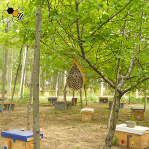 Nueva condición <span class=keywords><strong>de</strong></span> bambú natural y madera Mason Bee House Hive para Apicultura - Product Image 6