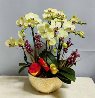 Cuenco decorativo de orquídeas F105E para eventos navideños y arreglos florales minoristas - Product Image 4