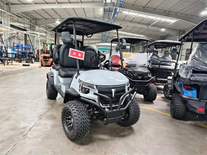 Voiturette de golf BORCART Z4 4 places avec sièges avant, vente en gros - Product Image 3