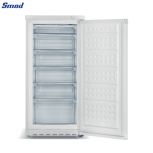 180L/80L High Quality Good Price Chinese Manual Defrosting <b>Stand</b> up Single <b>Door</b> Freezer for Home DSD-180L - Product Image 2