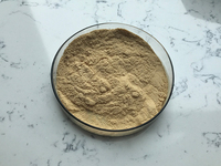 Extrait naturel de feuilles de romarin / myrtille (5%-98%) - Source d'acide ursolique en poudre