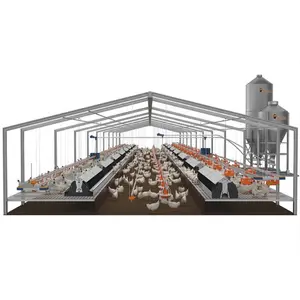 Low cost steel frame poultry farm chicken house free range chicken house