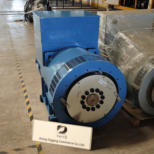 Alternatore Trifase AC Senza Spazzole a Basso Numero di Giri, Generatore a Magneti Permanenti ad Alta Efficienza, Dinamo Magnetica Aerogeneratrice - Product Image 6