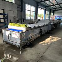 4/5/68/mètres de long Chauffage automatique à la vapeur pour faire bouillir les aliments Machine de cuisson industrielle pour fruits de mer, crevettes et crevettes 60C-90C