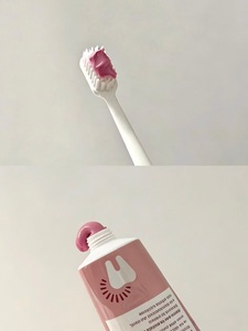 <span class=keywords><strong>Le</strong></span> dentifrice Wiild <span class=keywords><strong>le</strong></span> plus vendu est utilisé pour polir les dents, rafraîchir l'haleine, nettoyer la bouche, éliminer les taches et blanchir les dents. - Product Image 3