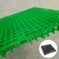 Cellules de drainage modulaires en HDPE pour jardins sur toits et parcs, avec feuille plastique et plaque de drainage alvéolée