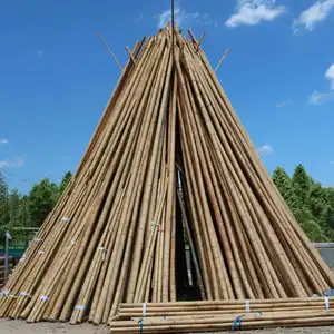 Haute qualité prix de gros bambou naturel matière première plante Pergola poteaux en bambou