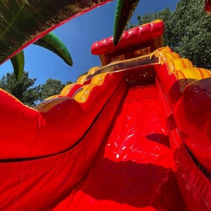 Tobogán acuático inflable comercial del patio trasero <span class=keywords><strong>de</strong></span> la venta caliente <span class=keywords><strong>para</strong></span> la fiesta <span class=keywords><strong>de</strong></span> los niños - Product Image 6