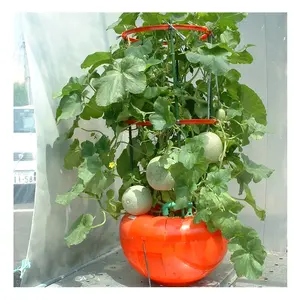 Garden Hydroponics Growing Box Pot Balcony Planting Grow Pot /Strawberry/Cherry/Pepper/Eggplant Outdoor Tomato Planter