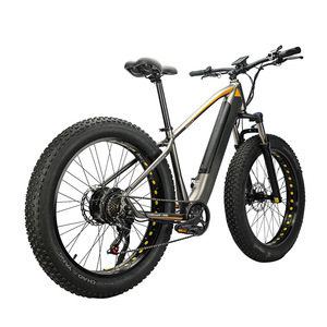 New Design 26 Inch Electric Bike with 500W Motor Rear Carrier Hidden Battery Aluminum Alloy <strong>Frame</strong> 48V Voltage - Product Image 3