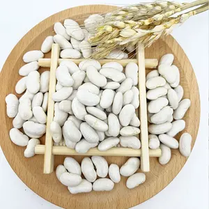 Large White Kidney Beans Hot Selling New Crop Big White Kidney Beans Bulk Factory Price