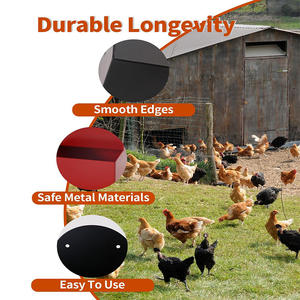 Nouveau design <span class=keywords><strong>Coquille</strong></span> d'huître pour poulets Mangeoire suspendue en métal pour poulets Mangeoire automatique pour volailles Abreuvoir automatique pour poulets - Product Image 5