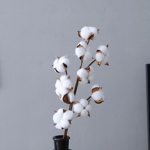 10 têtes 22 pouces coton conservé fleur séchée blanc coton naturel tiges de bulle pour la décoration de la ferme - Product Image 5