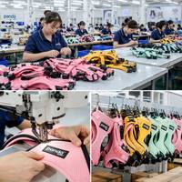 Harnais d'entraînement pour chien de haute qualité, personnalisable, confortable, durable, léger et réglable, nouveau modèle.