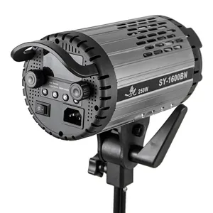250 w Flecklicht Fernsteuerung und Schalterung Steuerung Cri 95 hochwertiges COB Fotografie- und Filmmöbel